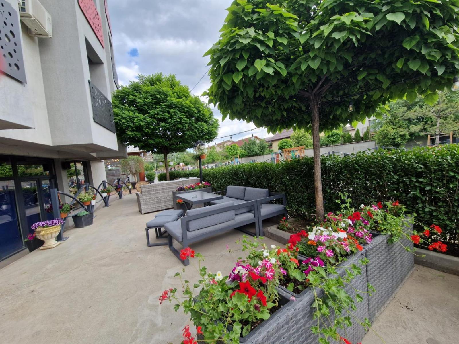 Albert Hotel Roşu Buitenkant foto